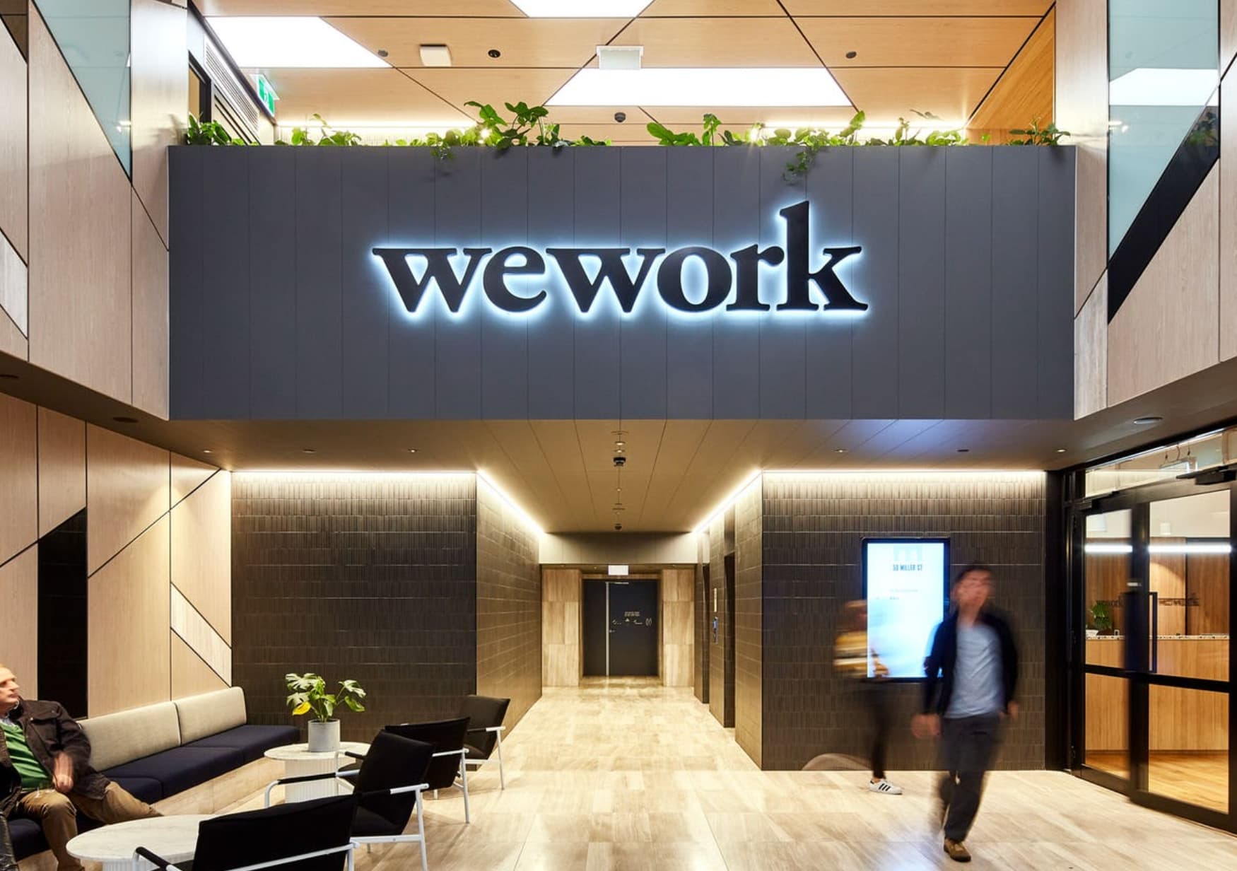 wework bankruptcy - wework